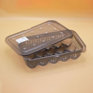 حافظة بيض 15 حبة اسود 6300089